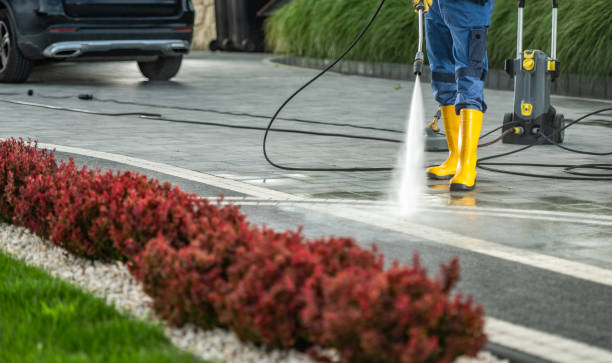 Best Building Exterior Washing  in Seagoville, TX